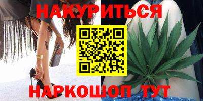 альфа пвп Новодвинск